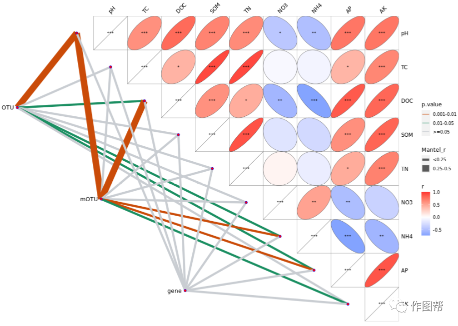 在线作图|做一张叠加mantel test的相关性热图 - 百奥维凡生物